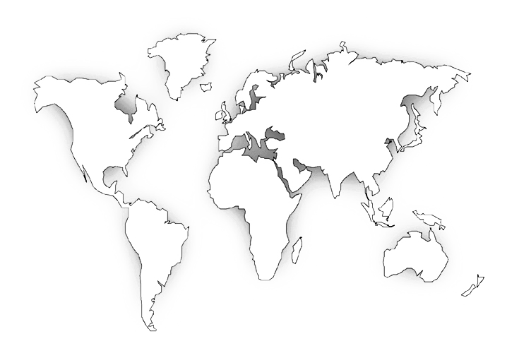 worldmap-grijs